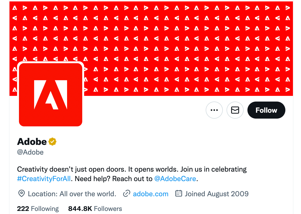 professional bio examples