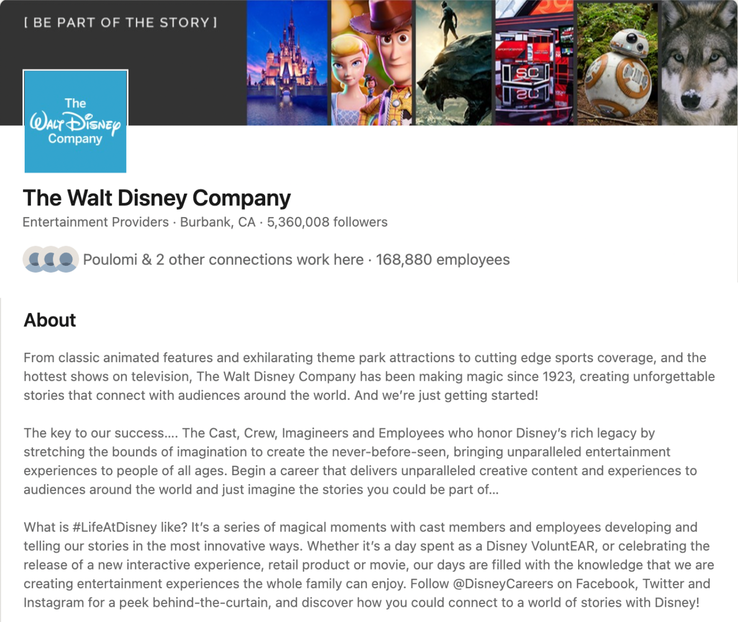 company bio examples