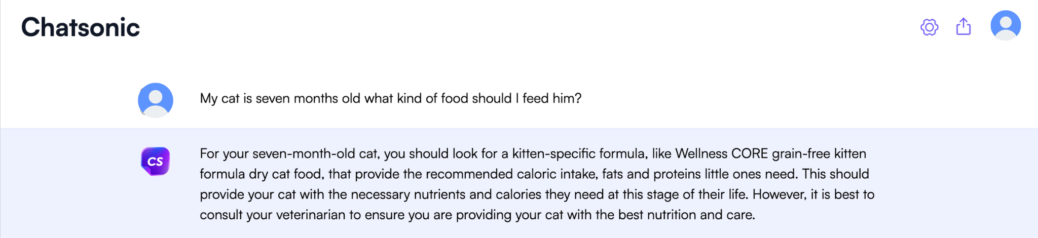 ChatGPT API use cases