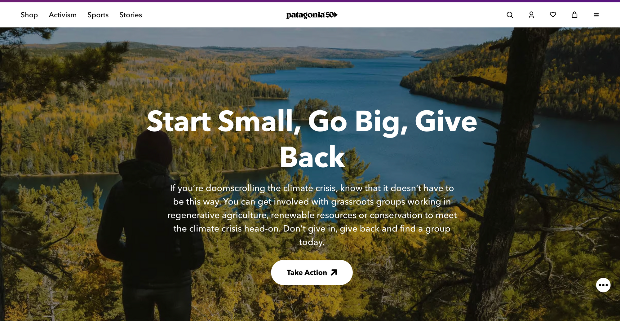 Patagonia brand voice example - Brand voice examples