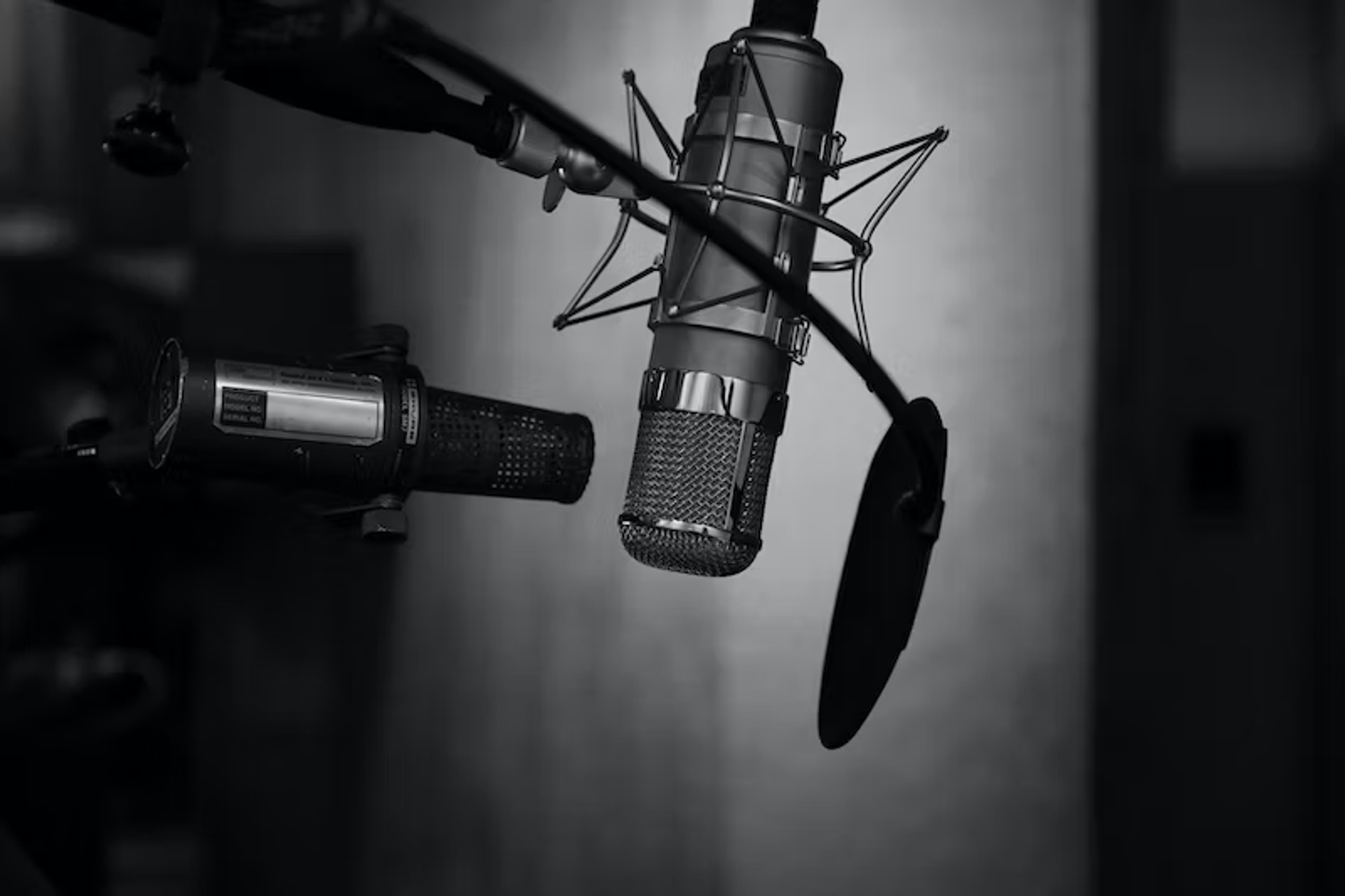 Pop filter and microphone - how to start a podcast